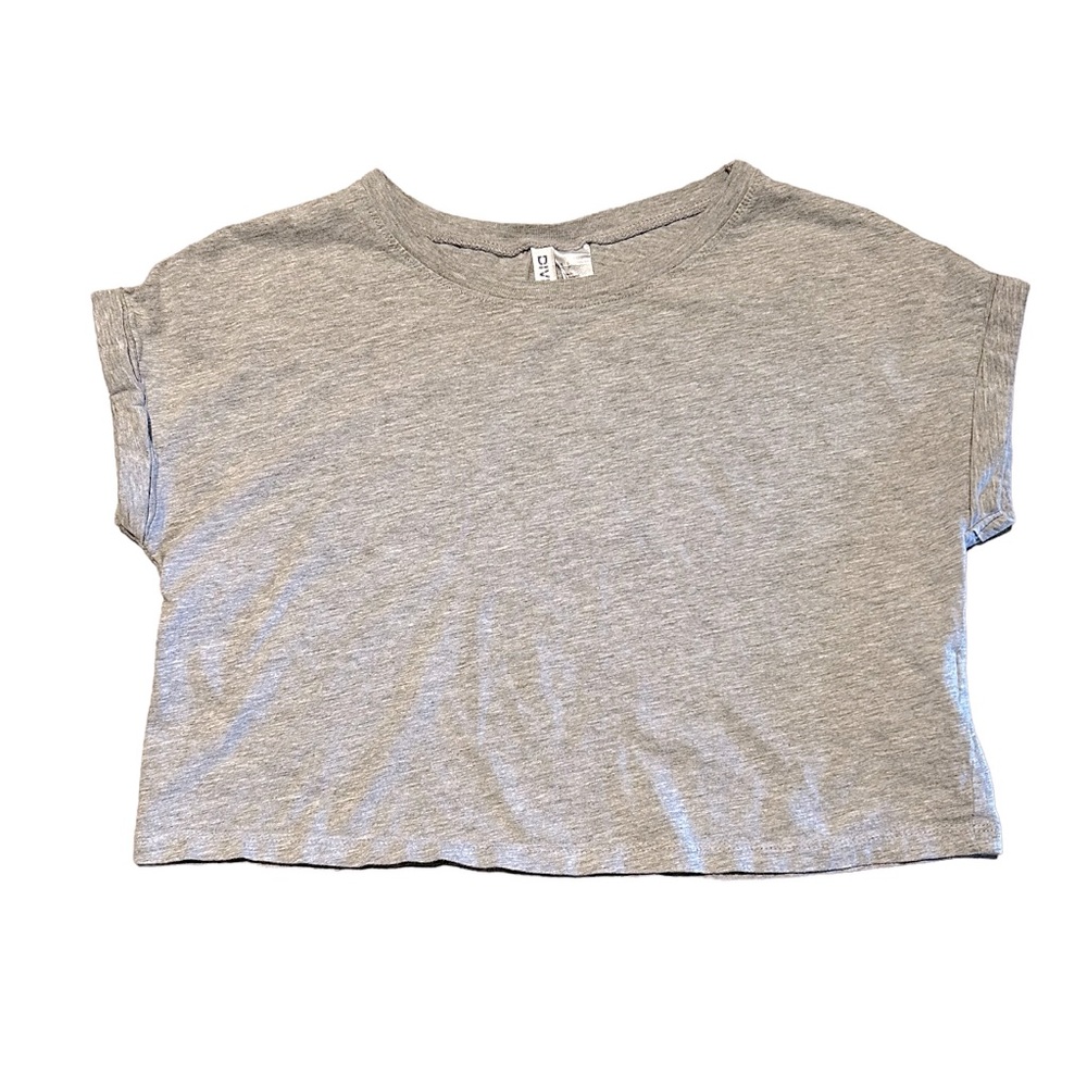 Divided grey crop tee
